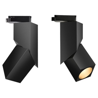 LED Track Light TR450picture2