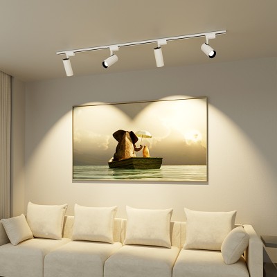 LED Track Light TR690picture5