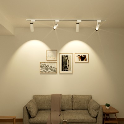 LED Track Light TR690picture6