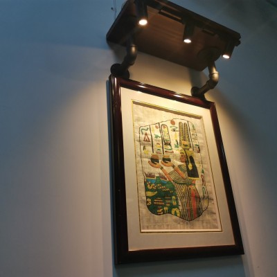 LED Track Light TR730picture4