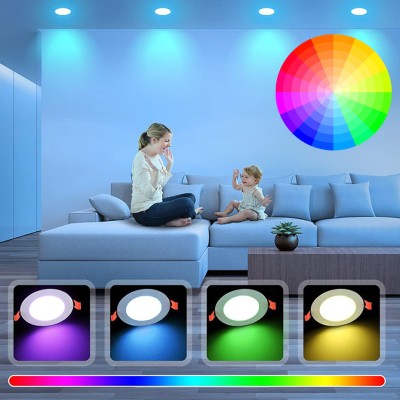 LED Downlight DL100picture5