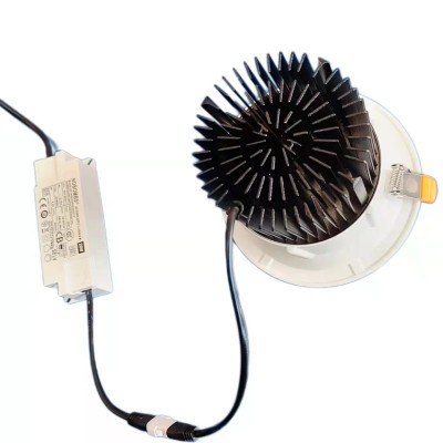 LED Downlight DL120picture4