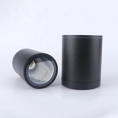 LED Downlight DL180picture3