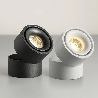 LED Downlight DL240picture2