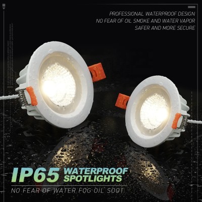 LED Downlight DL270picture3