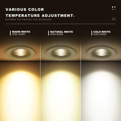 LED Downlight DL270picture4