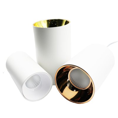 LED Downlight DL280picture2