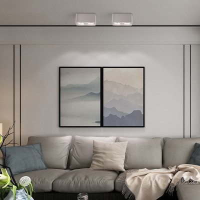 LED Downlight DL300picture2