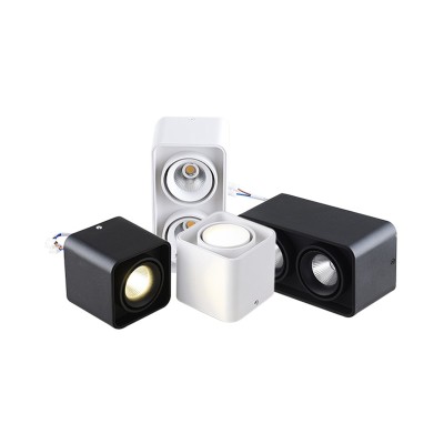 LED Downlight DL300picture4