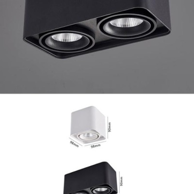 LED Downlight DL300picture5