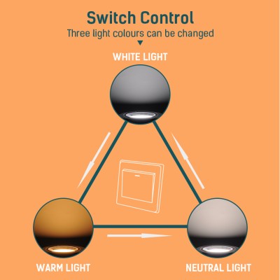 LED Downlight DL450picture5