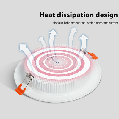 LED Downlight DL800picture5