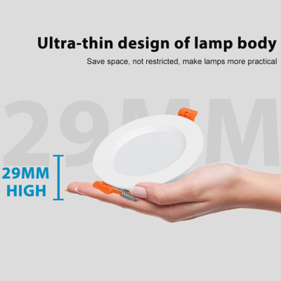 LED Downlight DL800picture6