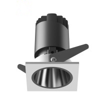 LED Downlight DL810