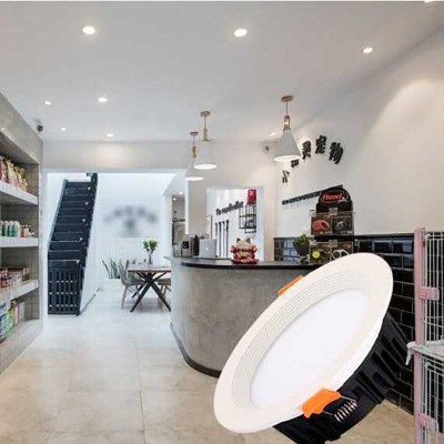 LED Downlight DL630picture2