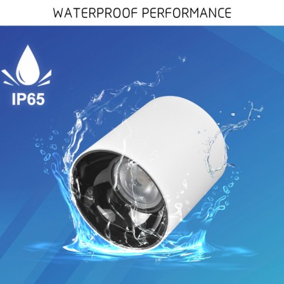 LED Downlight DL460picture2