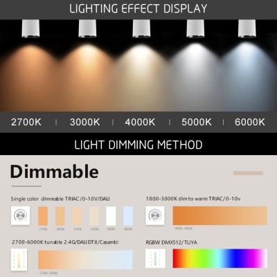 LED Downlight DL460picture4