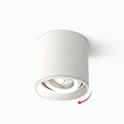 LED Downlight DL490picture3