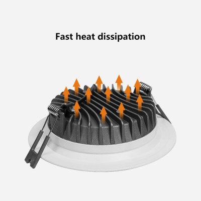 LED Downlight DL550picture2