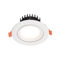 LED Downlight DL890