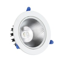 LED Downlight DL900