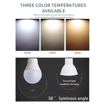 LED Spotlight SP220picture5