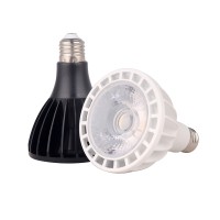 LED Spotlight SP50