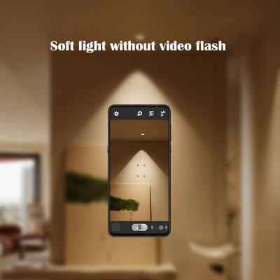 LED Spotlight SP310picture6