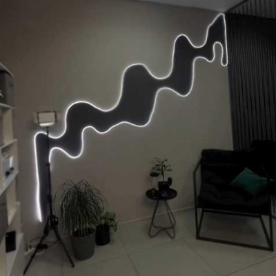 LED neon flex strip light NEL3200picture5