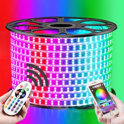 LED Strip Light STP250picture3