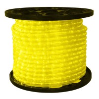 LED Rope Light RPL200