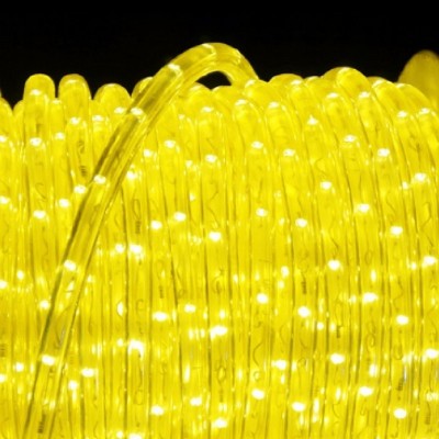 LED Rope Light RPL200picture2