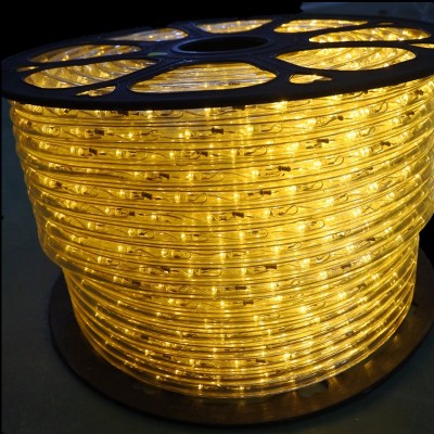 LED Rope Light RPL100picture2