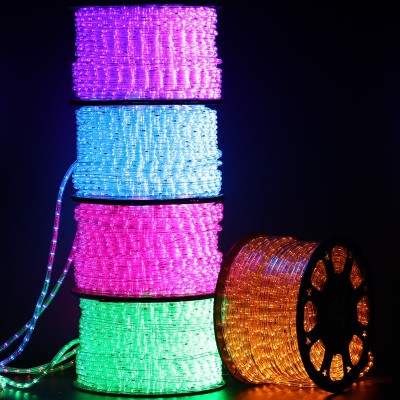 LED Rope Light RPL100picture3