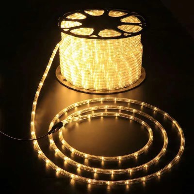 LED Rope Light RPL100picture4