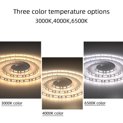 LED Strip Light STP420picture5