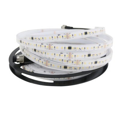 LED Strip Light STP470picture2