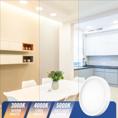 LED Flush Mount Ceiling Light CL100picture2
