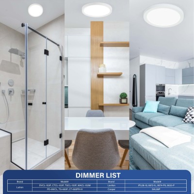 LED Flush Mount Ceiling Light CL100picture3