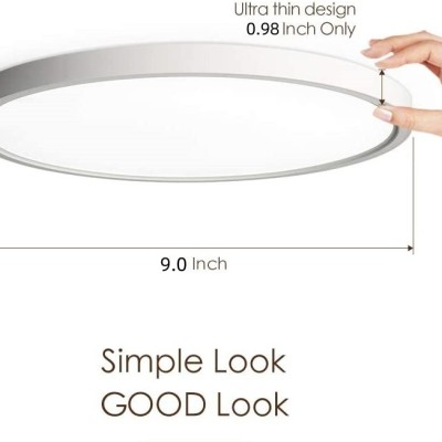 LED Ceiling Light CL270picture3