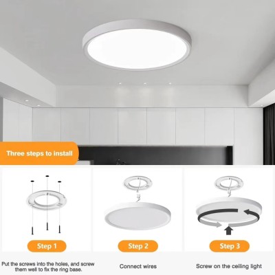 LED Ceiling Light CL270picture4