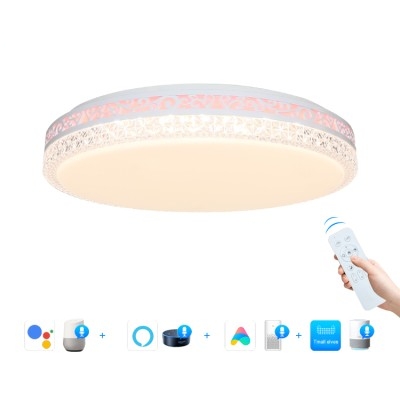 LED Ceiling Light CL240picture2