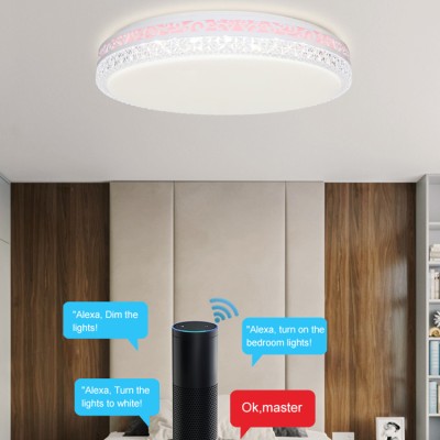 LED Ceiling Light CL240picture4