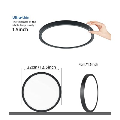 LED Ceiling Light CL190picture3