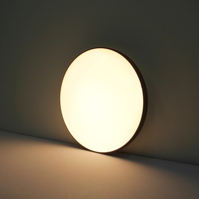 LED Ceiling Light CL190picture5