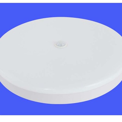 LED Ceiling Light CL260picture3