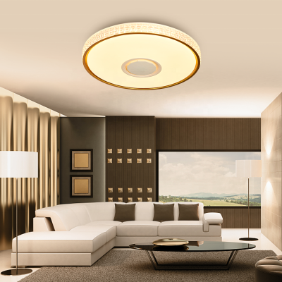 LED Ceiling Light CL300picture2