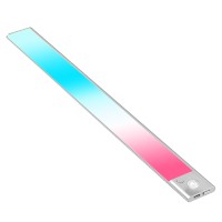 LED Induction Light NDL250