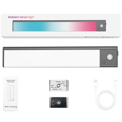 LED Induction Light NDL250picture6