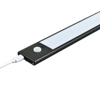 LED Induction Light NDL260